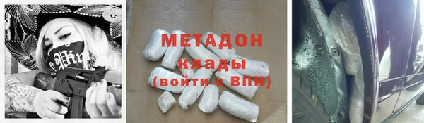 прущие грибы Волосово