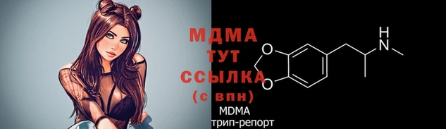 мдпв Володарск