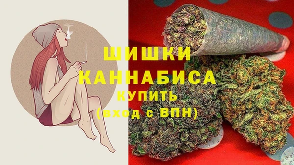мдпв Володарск
