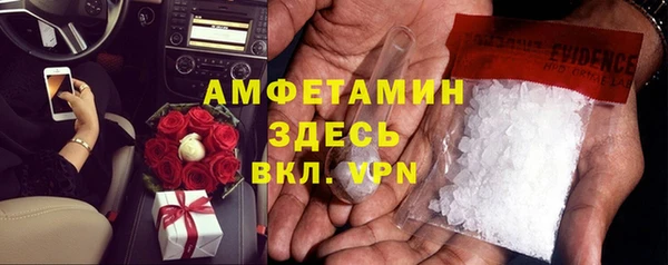 прущие грибы Волосово